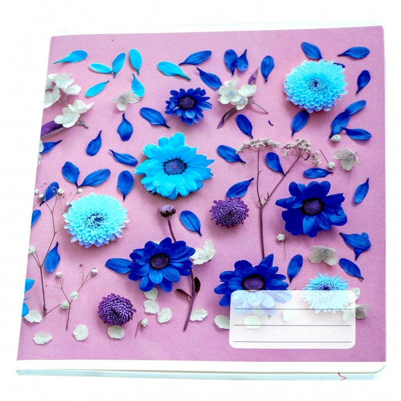 Տետր Dan Mark 48թ Տողանի 3